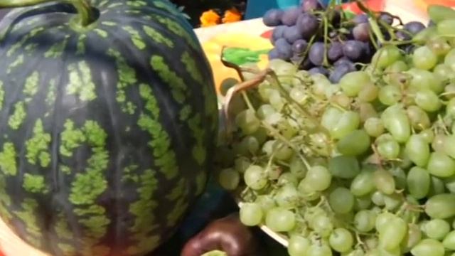 Цените жизнь. Красный Луч. Дача. Розенбаум смотреть онлайн