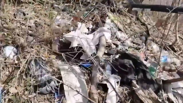 В лесу в Уфе около дома правительства обнаружили свалку смотреть онлайн