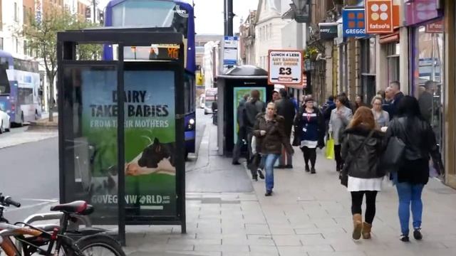 Panasonic TZ100 4k 30FPS Footage At 720P