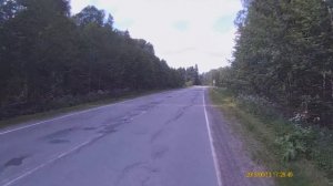 Видео для велотренажера.Дорога через лес.