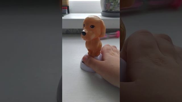 Собачке мешает стиральная машинка смотреть онлайн