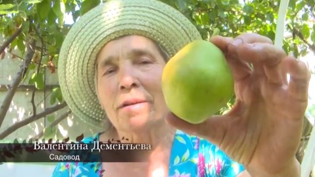 Сад-огород 05.08.2014 смотреть онлайн