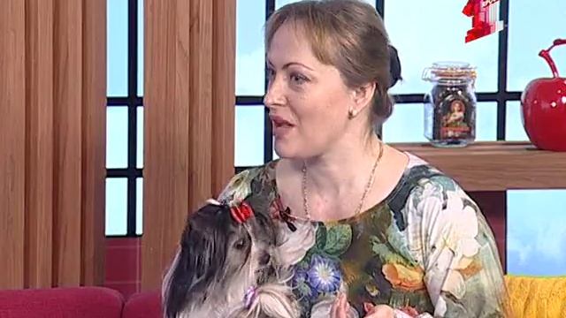 Немецкий бивер - уникальная собака-праздник смотреть онлайн