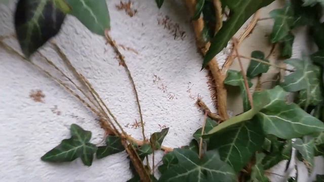 30 грудня 2020 р.