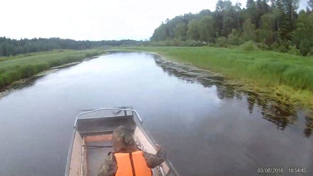 река Мошевица, скорость 58 км/ч, болотоход 22 л.с. смотреть онлайн