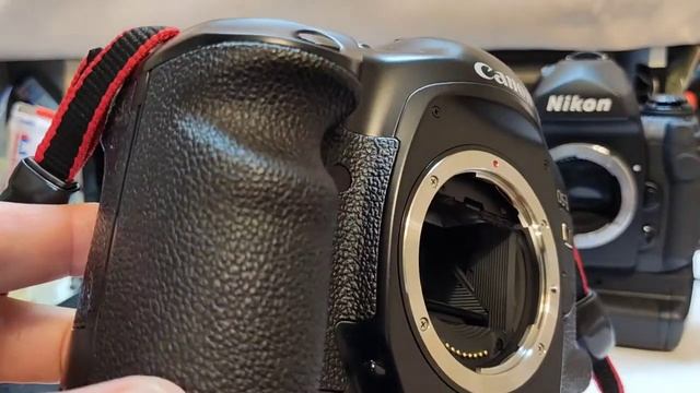 Canon EOS-1V Vs Nikon F6 Film Camera