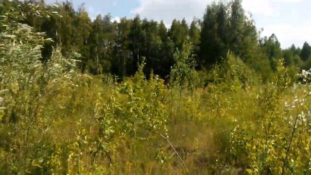 Отдых на природе в Нижнем Новгороде на Федосеенко смотреть онлайн
