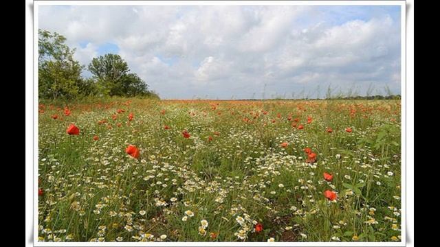 ПРИНЦЫ И ЗОЛУШКА (Лики любви 87) смотреть онлайн