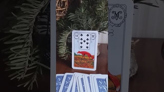 Урок 23/ Малый Оракул Ленорман/ Карта Лиса/9 Треф/ смотреть онлайн