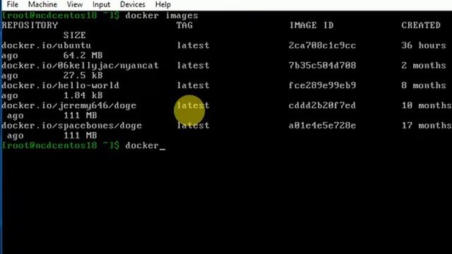 NCD0719H001 2019-09-20 Learn Docker by doing смотреть онлайн