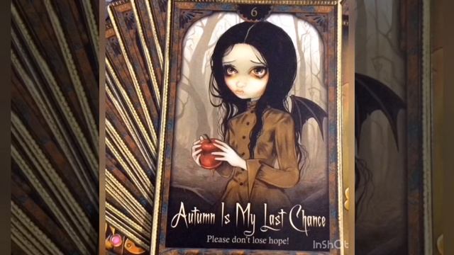 Learn Oracle Cards - Card 6 Autumn Is My Last Chance Oracle Of Shadows And Light смотреть онлайн