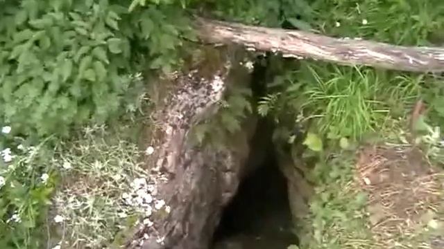 Лето, Крым, Караби-Яйла 2007.mp4 смотреть онлайн