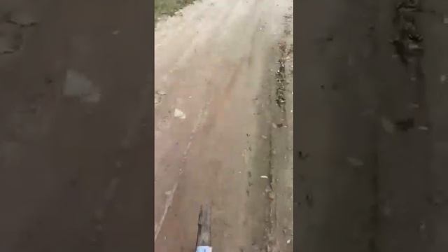 Лесной Кот и охотники. Гонки с велосипедом по дороге на охоту ;) смотреть онлайн