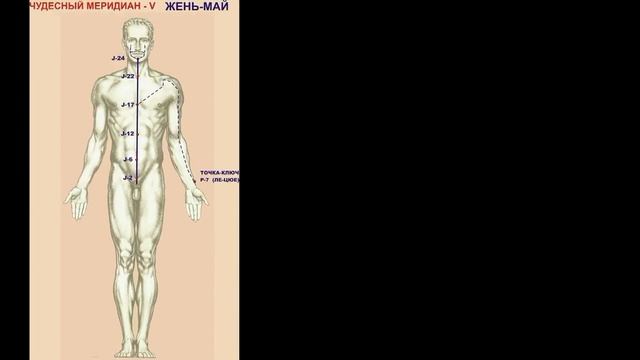 Чудесные меридианы - видеокурс.. Часть 2.