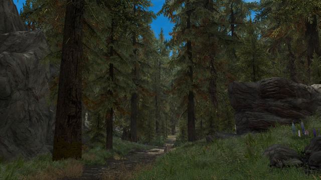 Skyrim (mods) - Testing: HD Trees and Bigger Trees смотреть онлайн