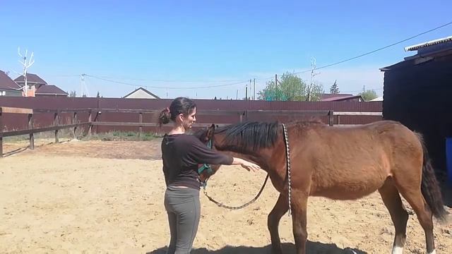 Марисоль, задание 1 смотреть онлайн