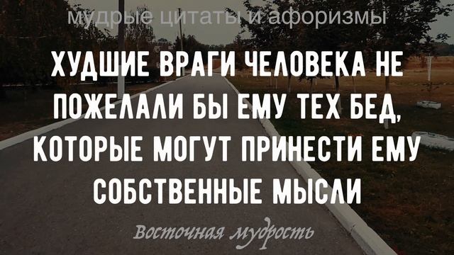 Почему я раньше этого не знал! Мудрые Восточные Цитаты, афоризмы мудрецов смотреть онлайн