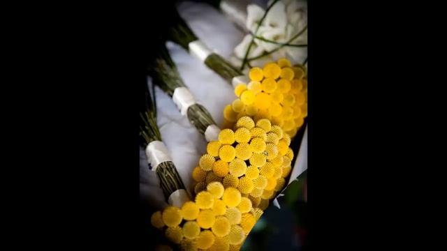 Удивительно красивые цветы и музыка для отдыха смотреть онлайн