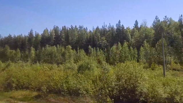 Поезд №375 Я Воркута - Москва ? Часть 2 смотреть онлайн
