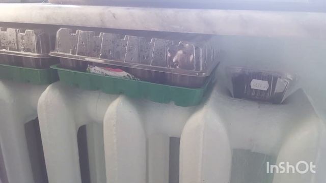 ЧУДО БАЛКОН. РАССАДА 2021 смотреть онлайн