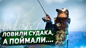 ЛОВИЛИ СУДАКА, А ПОЙМАЛИ ...