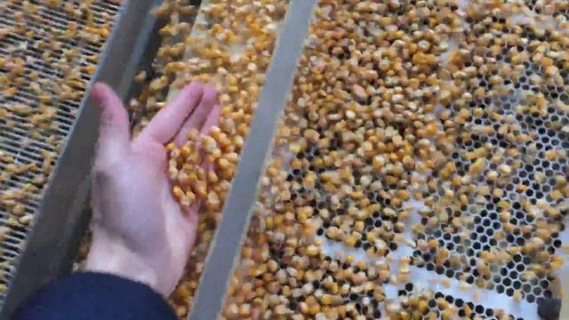Очистка кукурузы на линии Фадеева смотреть онлайн