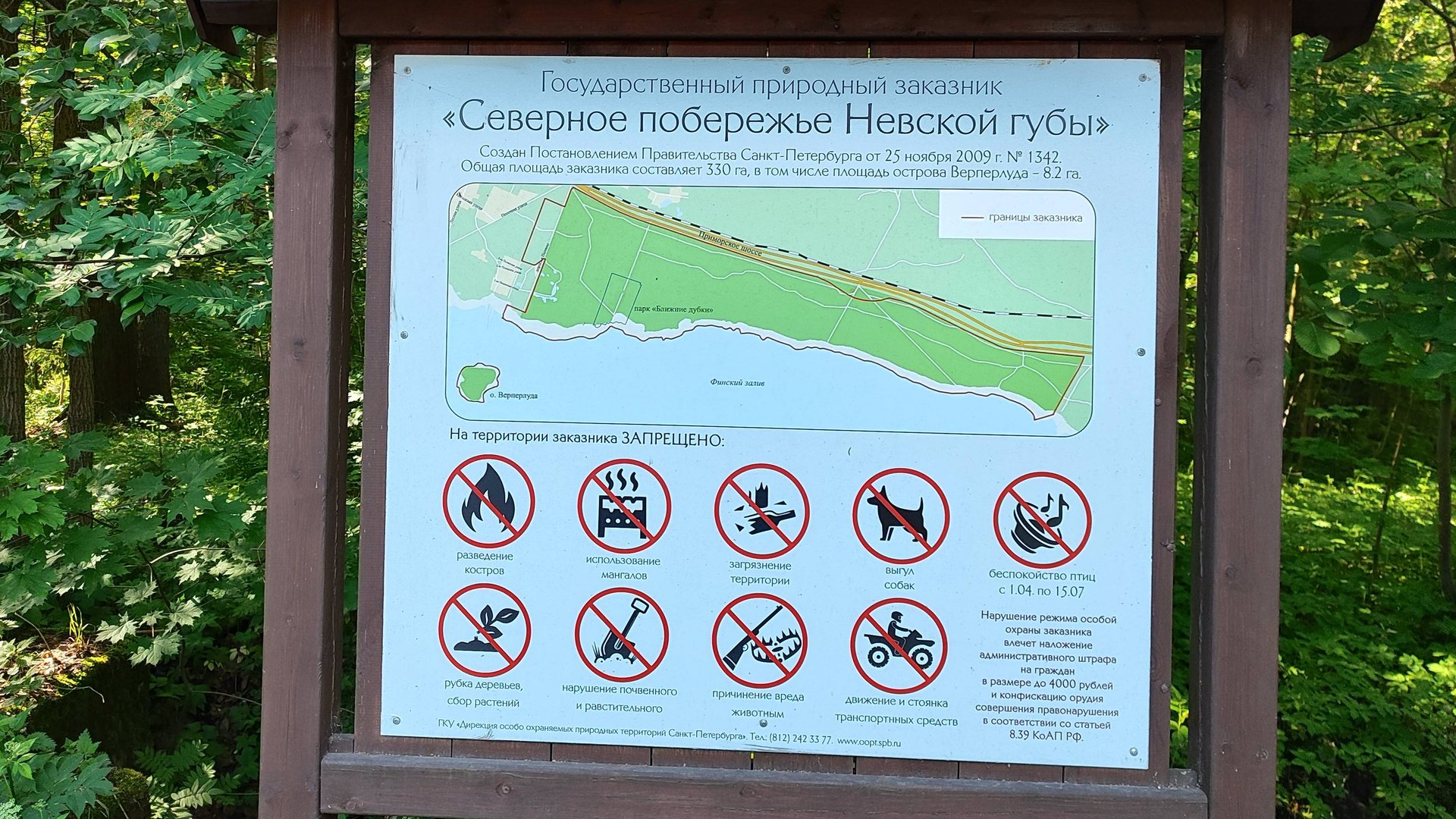 Государственный природный заказник «Северное побережье Невской губы» смотреть онлайн