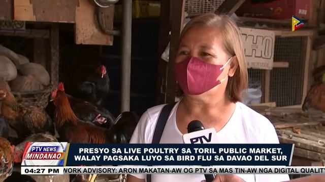 Animal quarantine checkpoint sa boundary sa Davao City ug Davao del Sur, mas gipahugtan смотреть онлайн