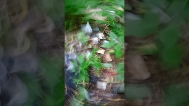 нашли много меди #2 смотреть онлайн