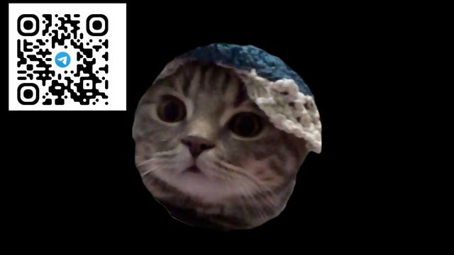 куда я пропадал 2 месяца... смотреть онлайн