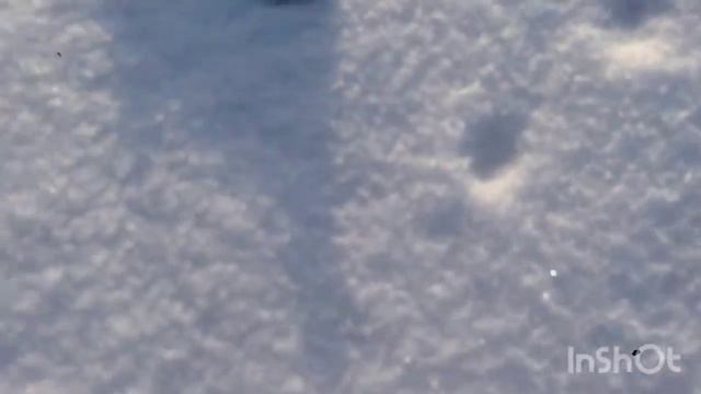 Тесты колонок смотреть онлайн