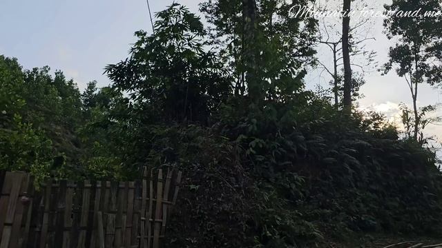 buy more fish to stock the pond. look for lost goats (EP108) смотреть онлайн