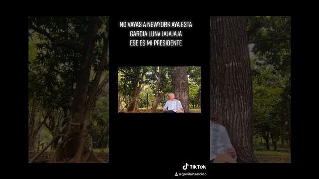 felipe calderon #viral смотреть онлайн