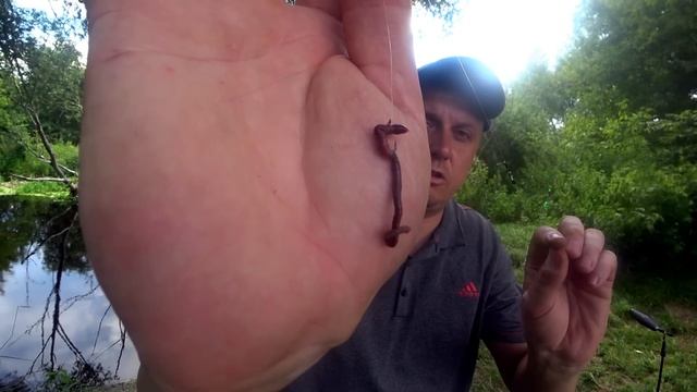 Рыбаки насаживают червя на крючок неправильно! Показываю как это правильно делать! смотреть онлайн