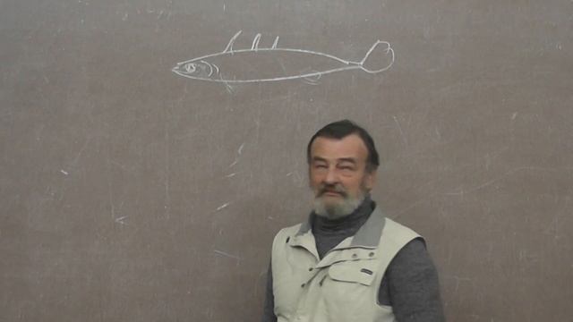 14 Этология. Способности к обучению