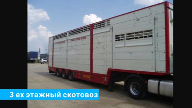 Перевозка скота, услуги скотовоза, Заказать скотовоз. +7 965-617-60-05 WhatsApp смотреть онлайн
