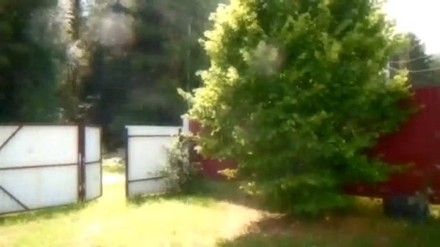 Дача в Пушкинском районе, д. Жуковка, СНТ «Мамонтовка» смотреть онлайн