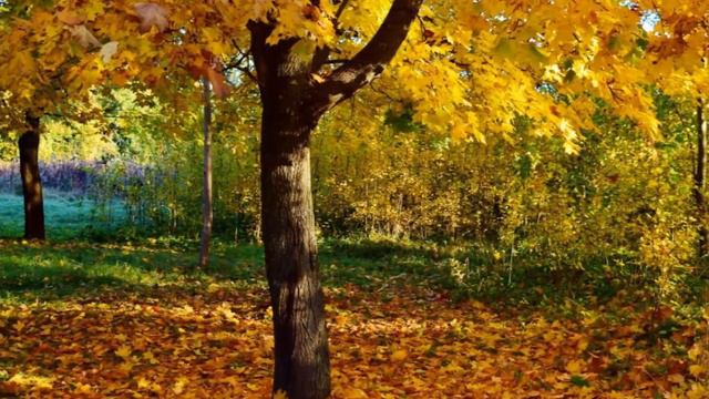 Краски осени смотреть онлайн