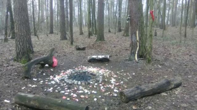 Mystery forest (part 1) смотреть онлайн
