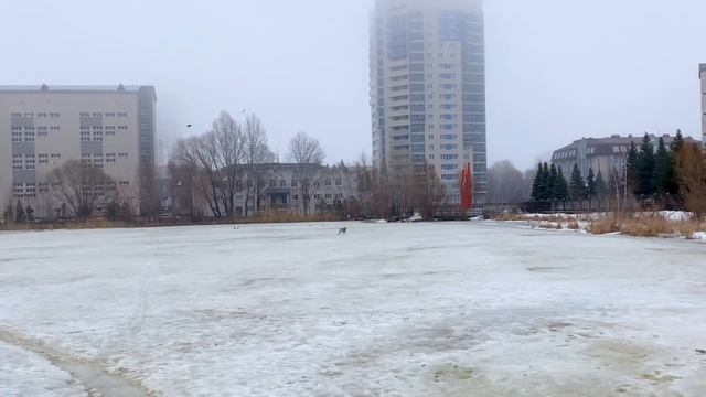 АКИТА-ГУСЕГОН смотреть онлайн