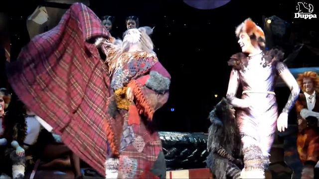 201122 2시 뮤지컬 캣츠(Musical Cats In Seoul) 내한공 커튼콜-거의 럼덤터거(Dan Partridge)