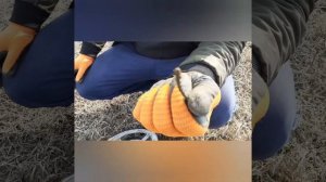 коп по металлу.обзор металлоискателя мд 4060