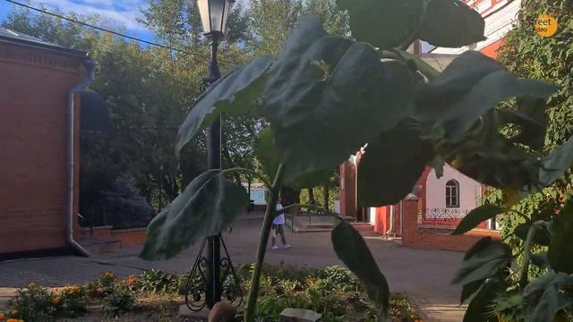 Храм Троицы Живоначальной в Борисово смотреть онлайн