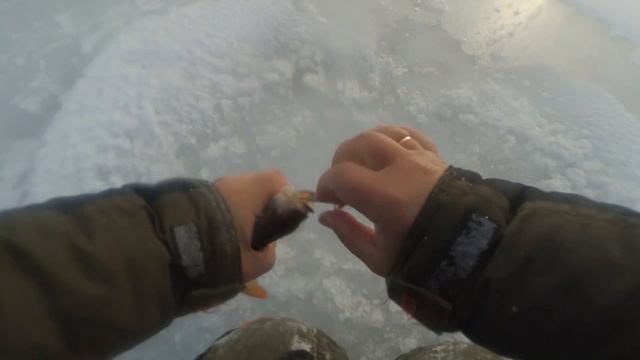 Балансир на окуня, судака, щуку - Rapala W5 CLN. Ловлю на Волге! смотреть онлайн