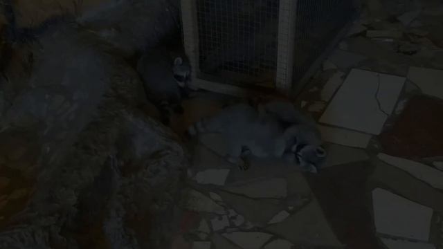 Два новых свитера и красивая брошка своими руками! смотреть онлайн