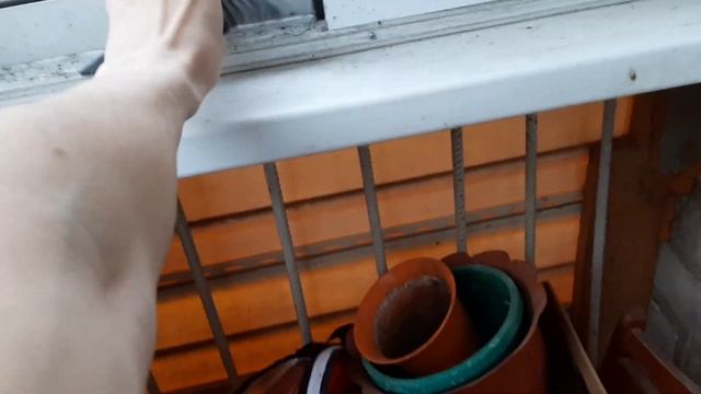 как я спасал Снигиря с балкона своего дома.