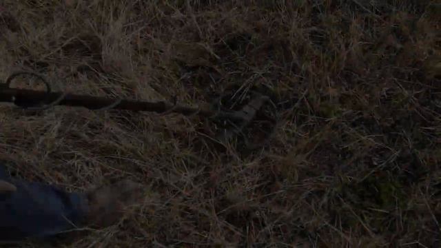 Поиски и находки с металлоискателем АКА Беркут-5. смотреть онлайн