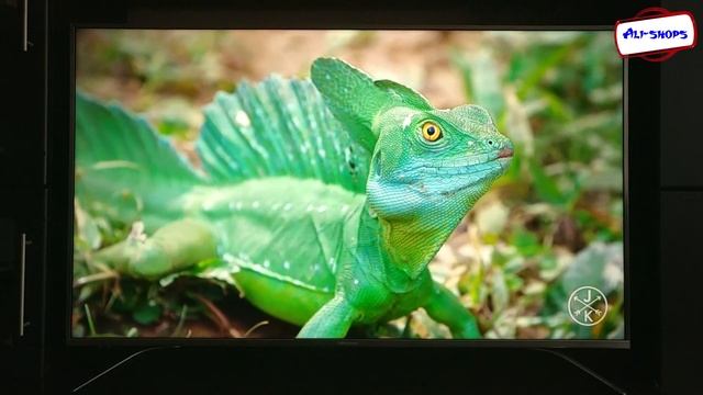 4K ТЕЛЕВИЗОР Hisense H50A6500  Смарт ТВ с Aliexpress
