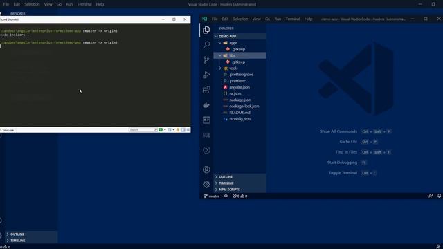 Angular Enterprise Forms - Setting up environment смотреть онлайн
