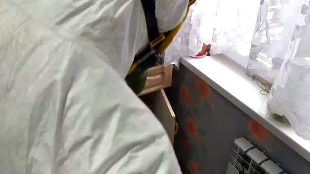 Дезинфекция Тараканов в Однокомнатной Квартире смотреть онлайн